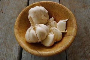 What Is The History Of Garlic