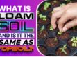 What is Loam Soil and is it the Same as Topsoil.