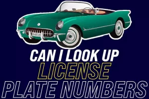 Can I Look Up License Plate Numbers