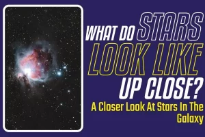 What Do Stars Look Like Up Close? A Closer Look At Stars In The Galaxy