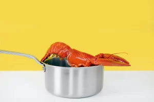 How To Tell If Lobster Is Bad