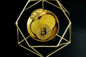 A Brief Introduction About Bitcoin Cryptocurrency