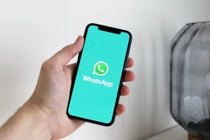 User Statistics On WhatsApp Who Uses WhatsApp And Why
