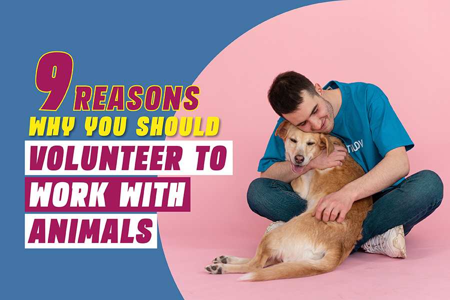 9 Reasons Why You Should Volunteer To Work With Animals.