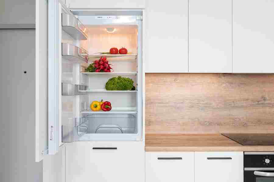 How To Stop Refrigerator From Buzzing