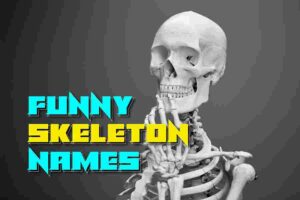 Funny Skeleton Names