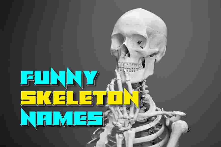Top 25 Skeletal System Fun Facts Updated 2023 BioExplorer 47 OFF