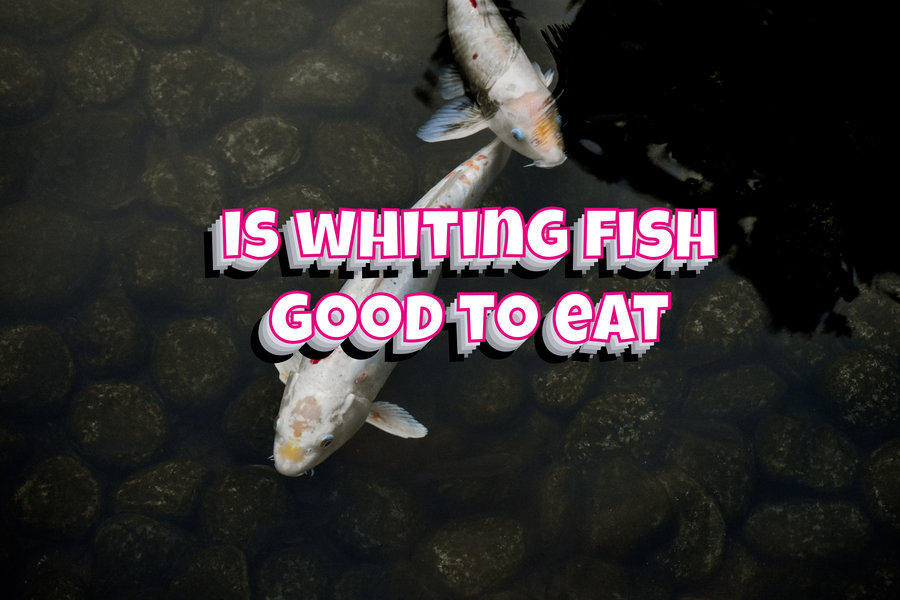 Is Whiting Fish Good To Eat