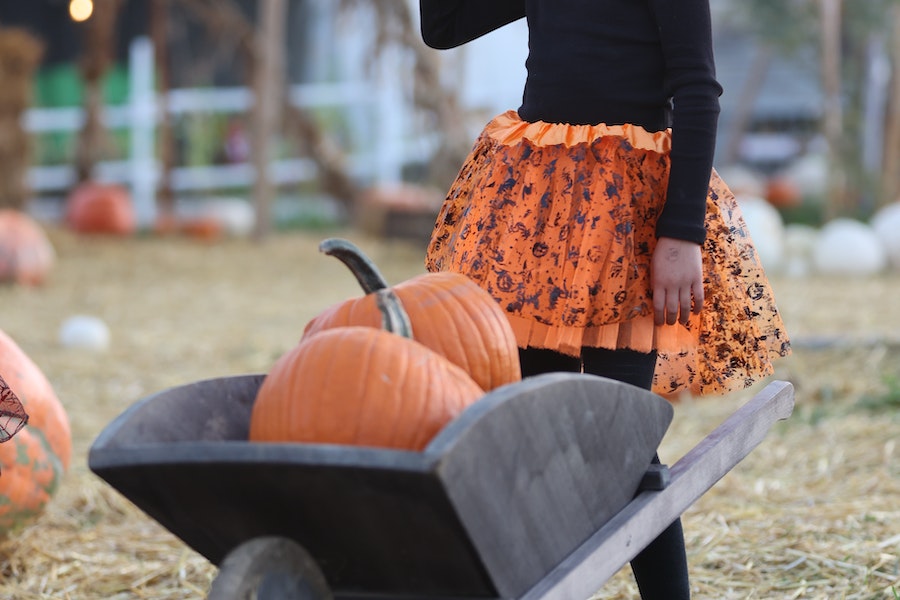 Perfect Outfit Ideas For A Family Day At The Pumpkin Patch