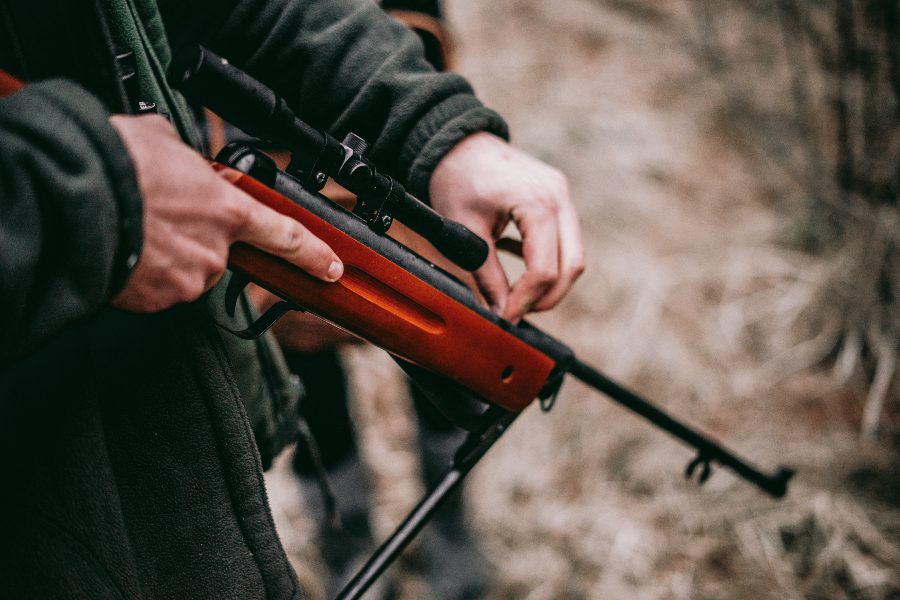 A Hunter's Guide To Choosing The Right Shotgun For Bird And Rabbit Hunting